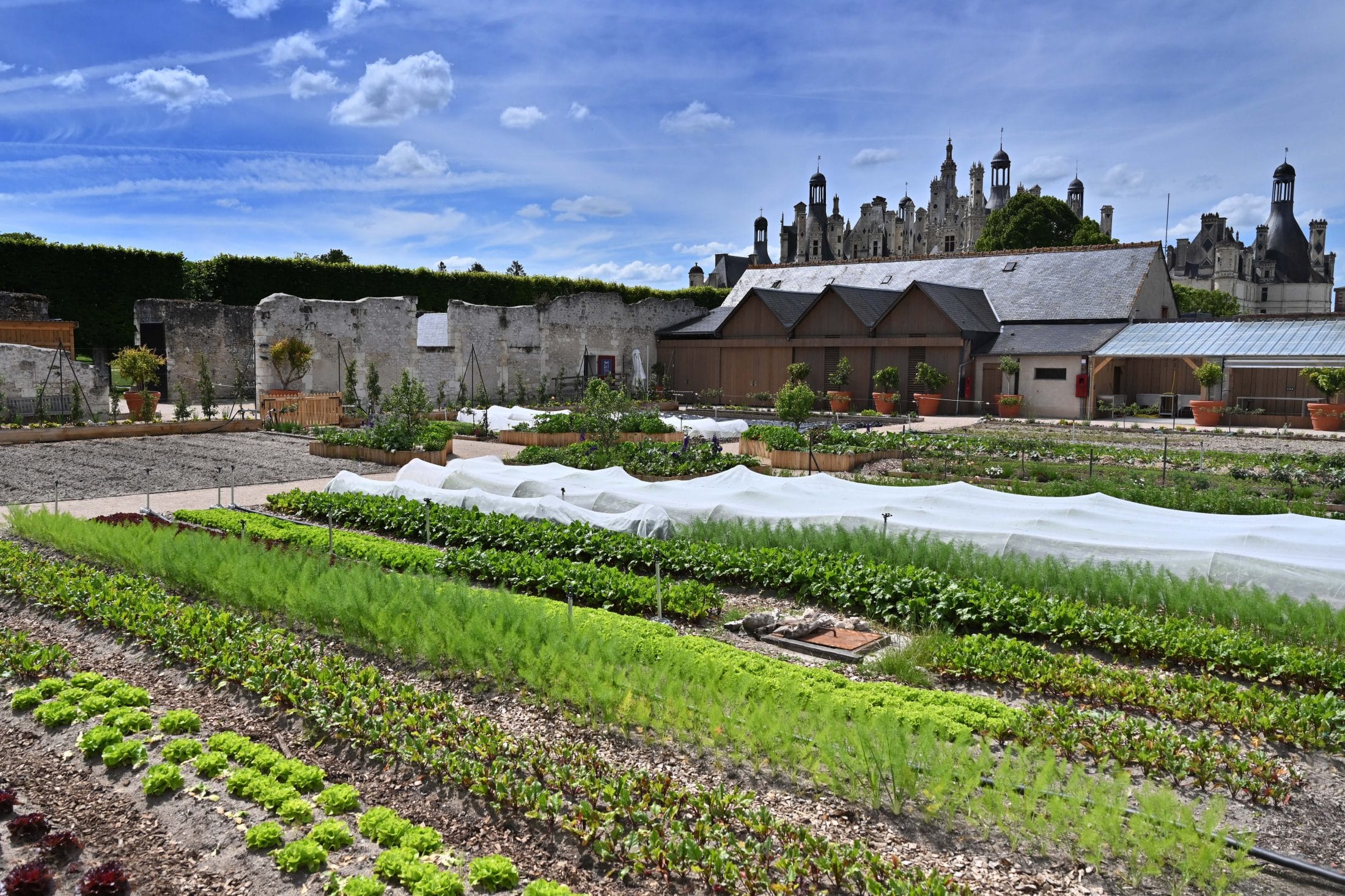 Synvance devient mécène du Domaine national de Chambord*, SYNVANCE